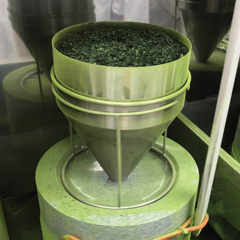 How matcha is made 5